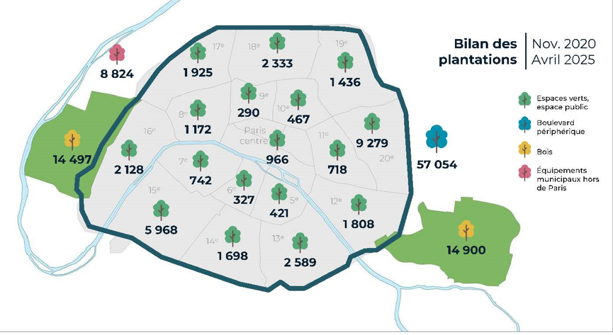 planted trees in 20-25
