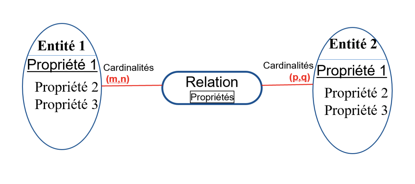 Database modelisation