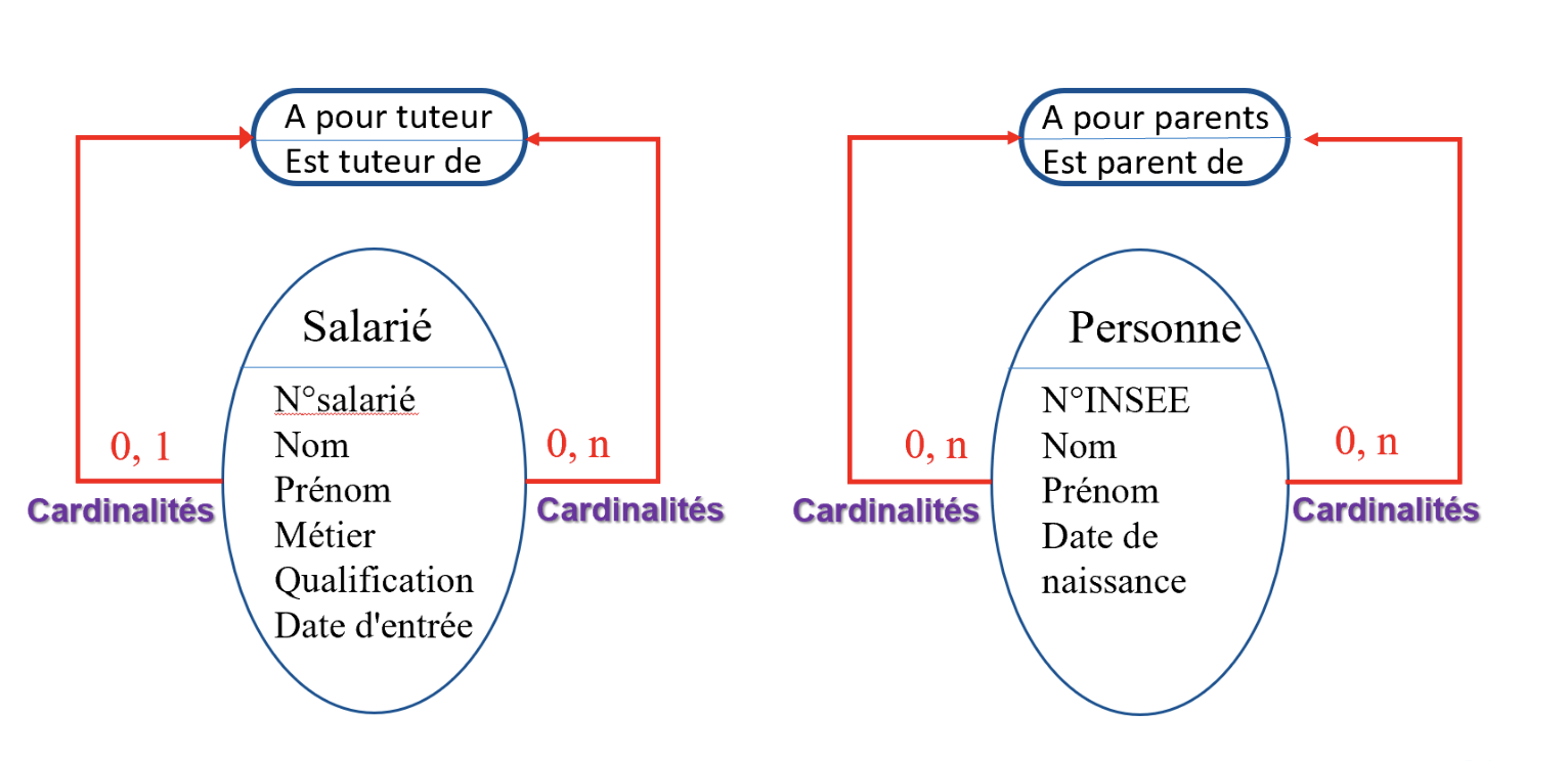 Database modelisation