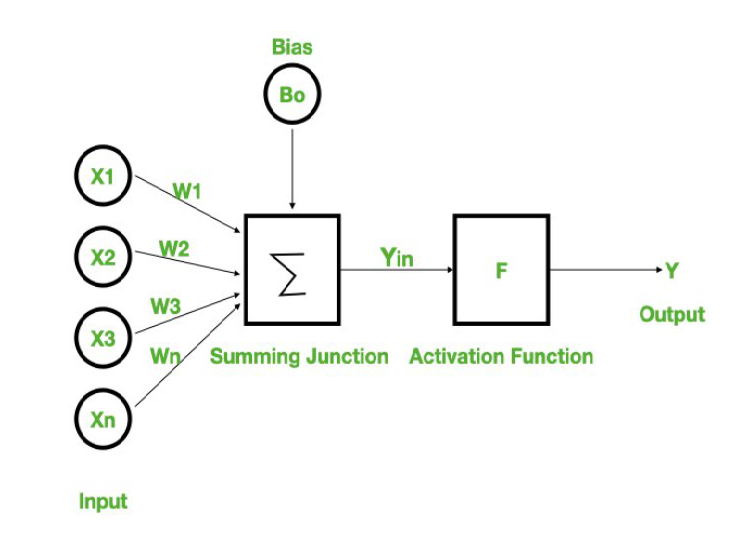 neurone schema